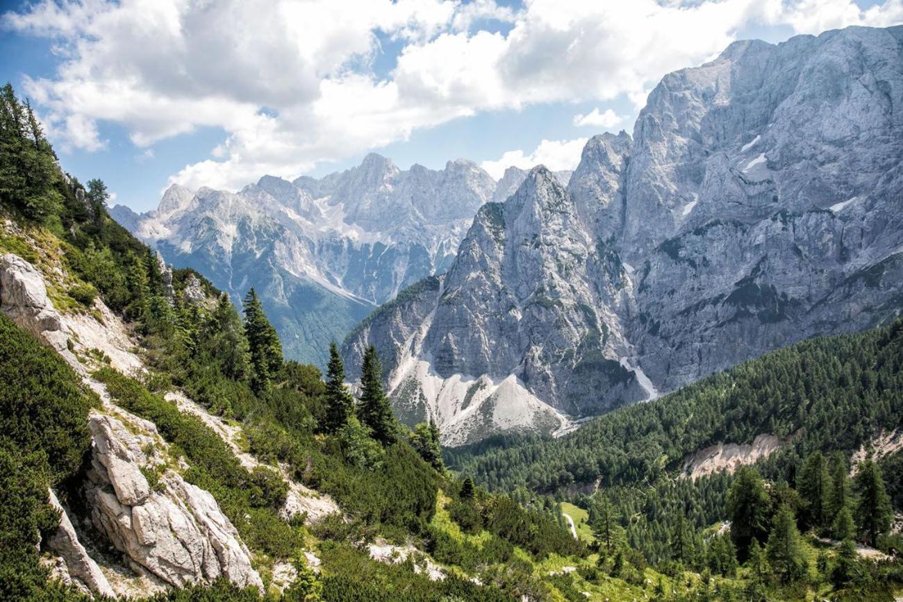 Sunny Retreat Apartment Kranjska Gora Esterno foto