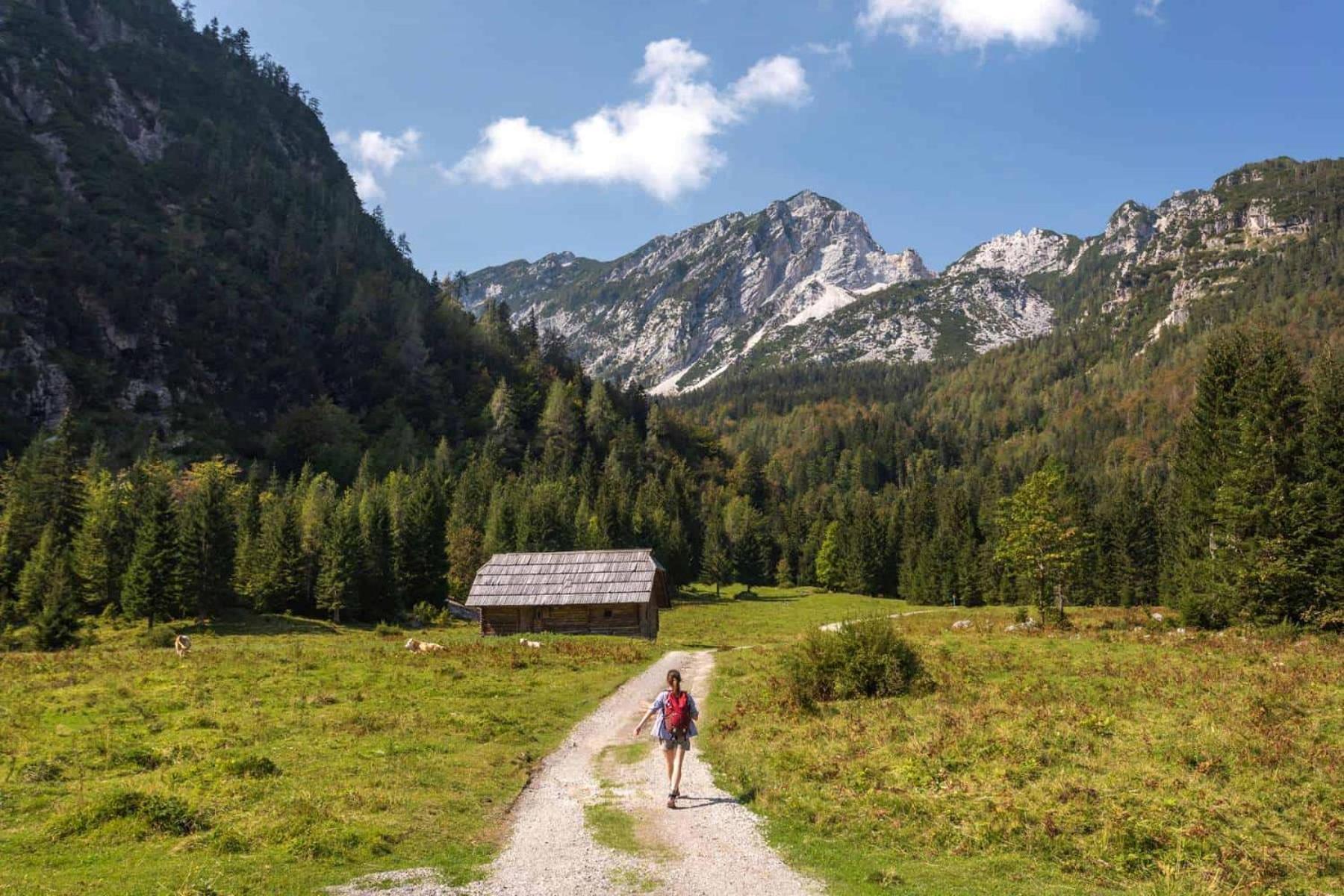 Sunny Retreat Apartment Kranjska Gora Esterno foto