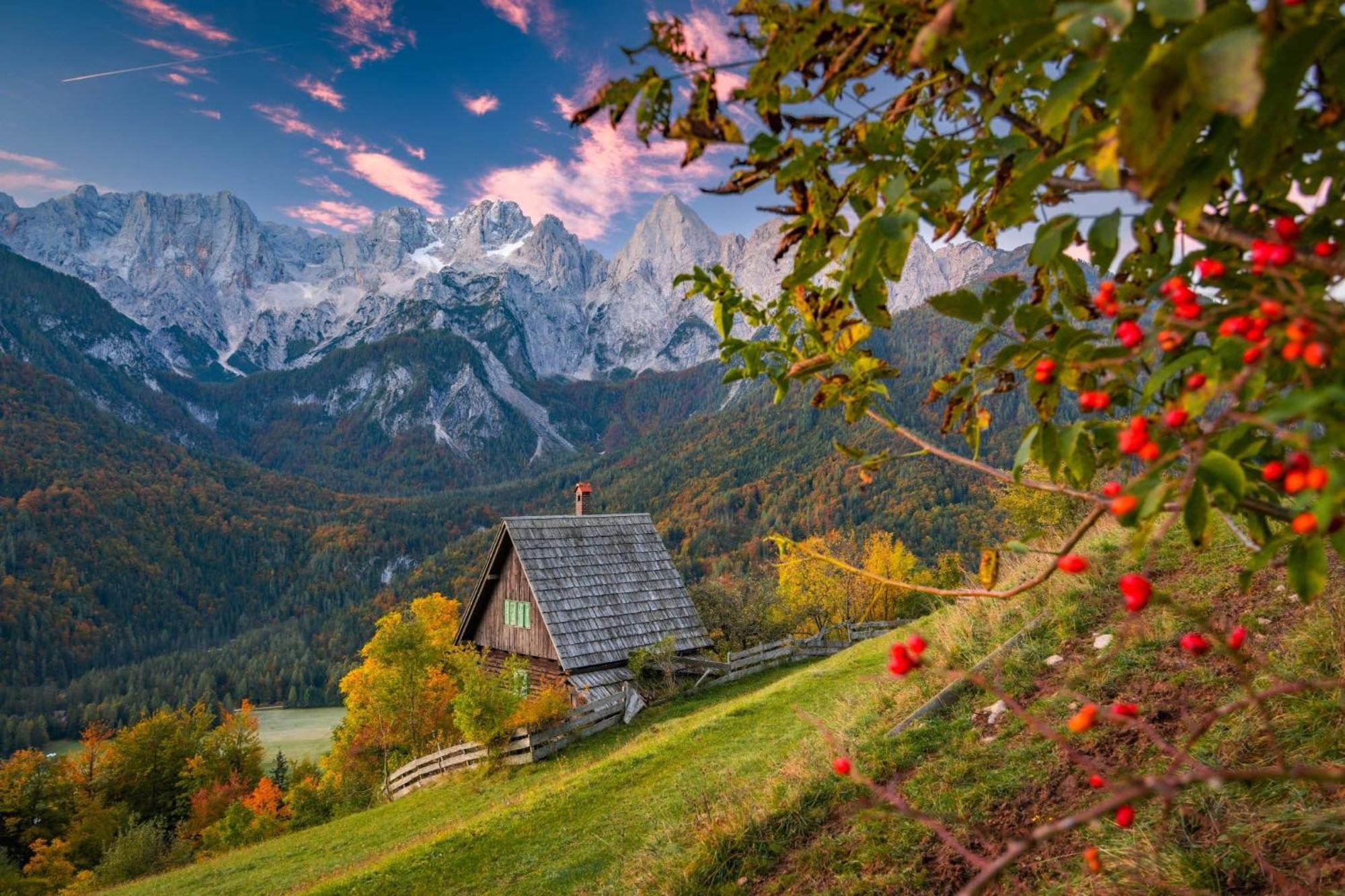 Sunny Retreat Apartment Kranjska Gora Esterno foto